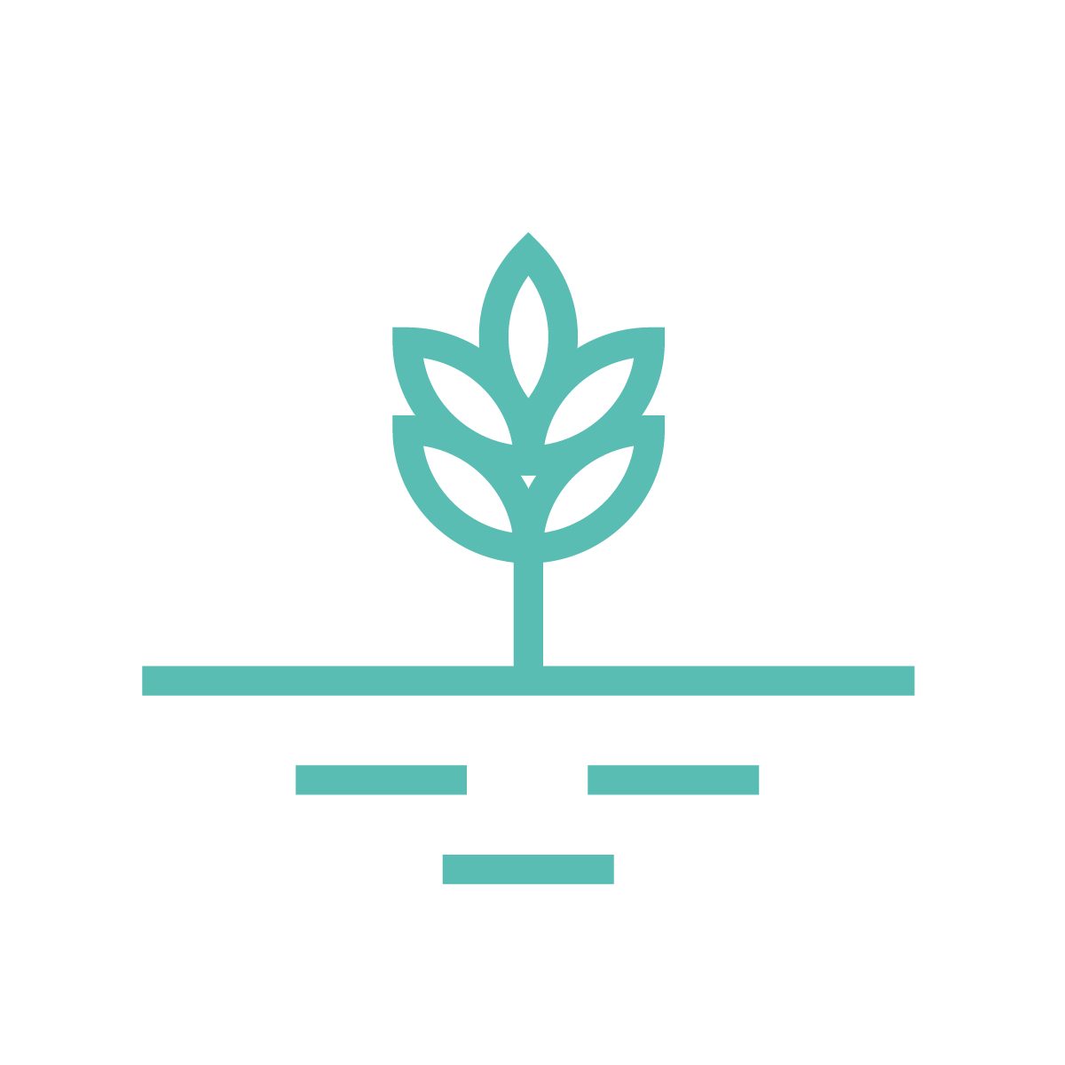 EarthDaily-Icons_Soil