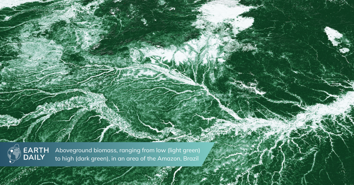 Mapping the Worlds Biomass, Tree Height and Tree Cover with Unprecedented Accuracy using Artificial Intelligence