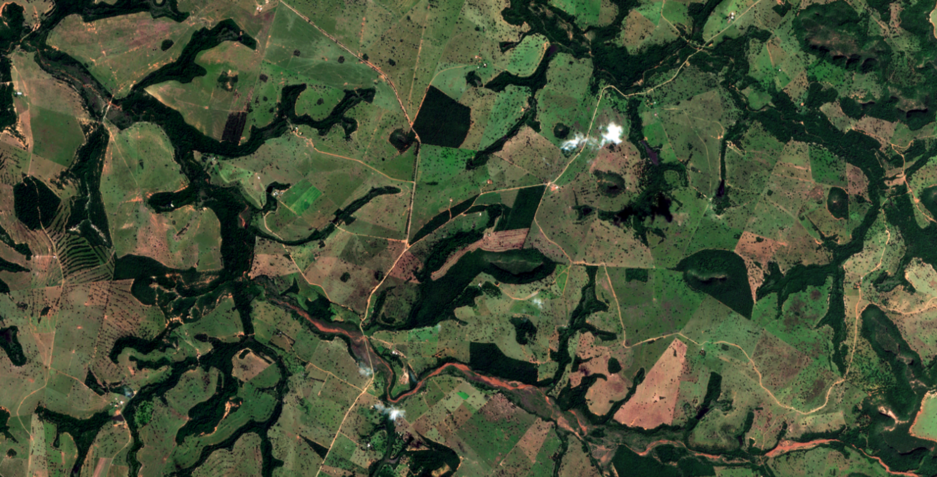 blog - Why Satellite Imagery Still Struggles to Scale in Agriculture