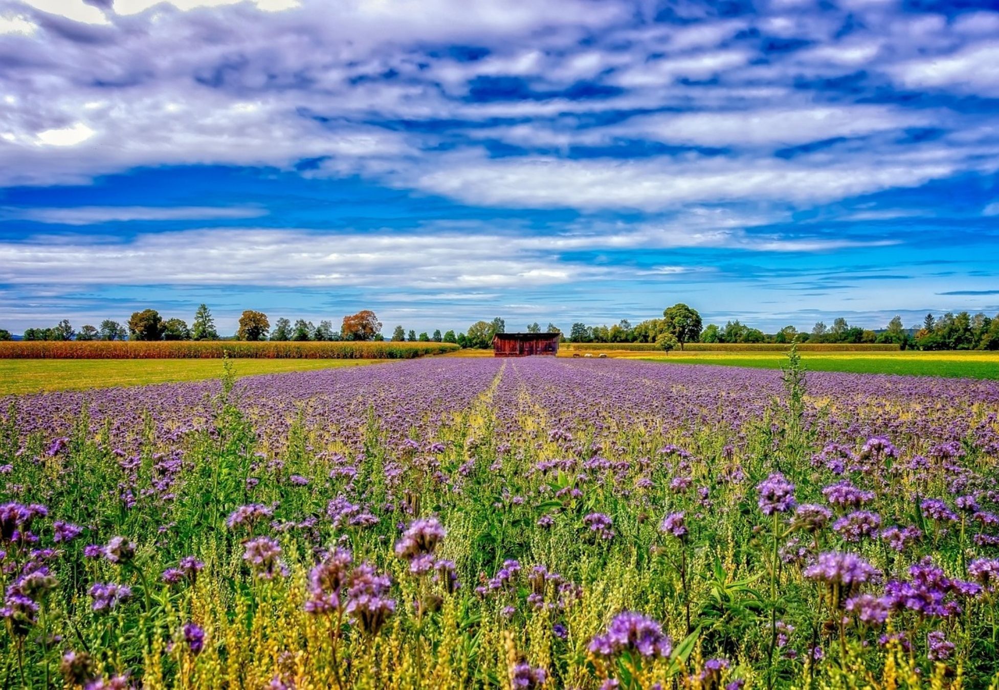 Nitrogen management takes a major step forward in Europe