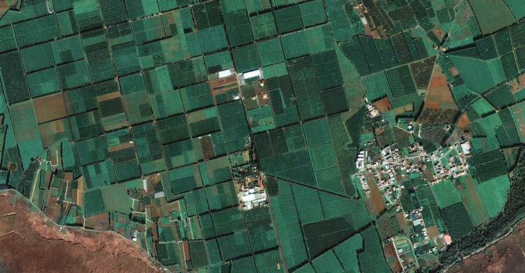 Why Execution, Not Production, is Agriculture's Defining Challenge