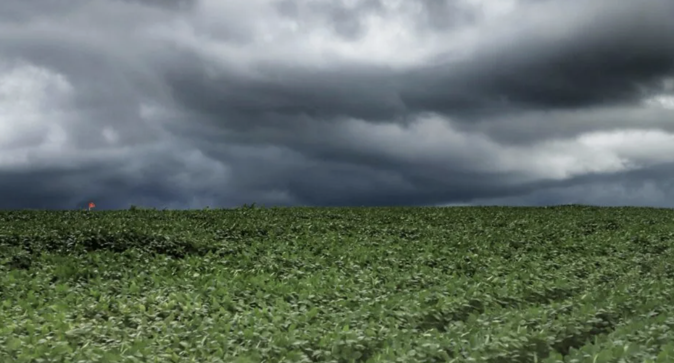 Inmet issues gale warning for 11 states; see where there are risks and how to protect yourself