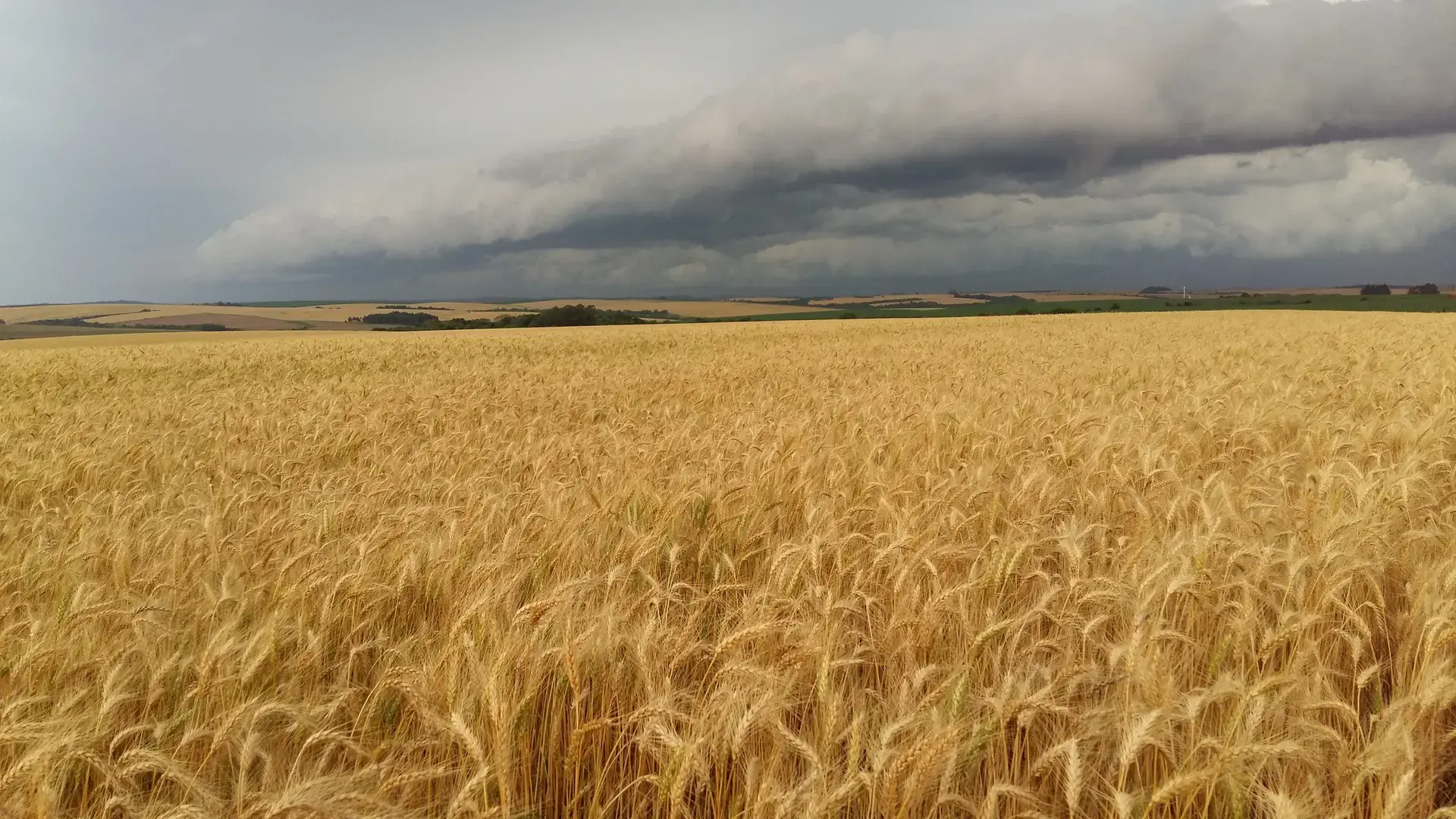 Rains keep humidity high in agricultural areas of Brazil