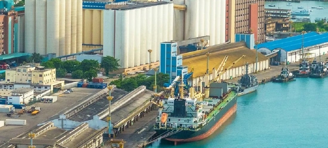 Brazil wheat imports start August at faster pace as domestic supply tightens
