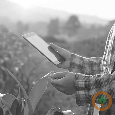 Using precision ag technology to help farmers make more informed management decisions