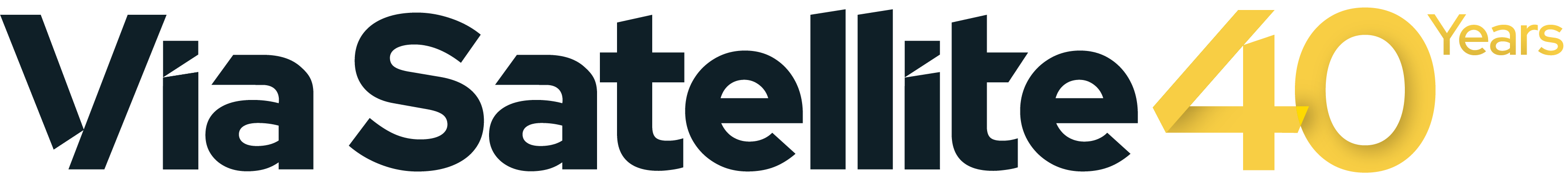 vs-40-logo