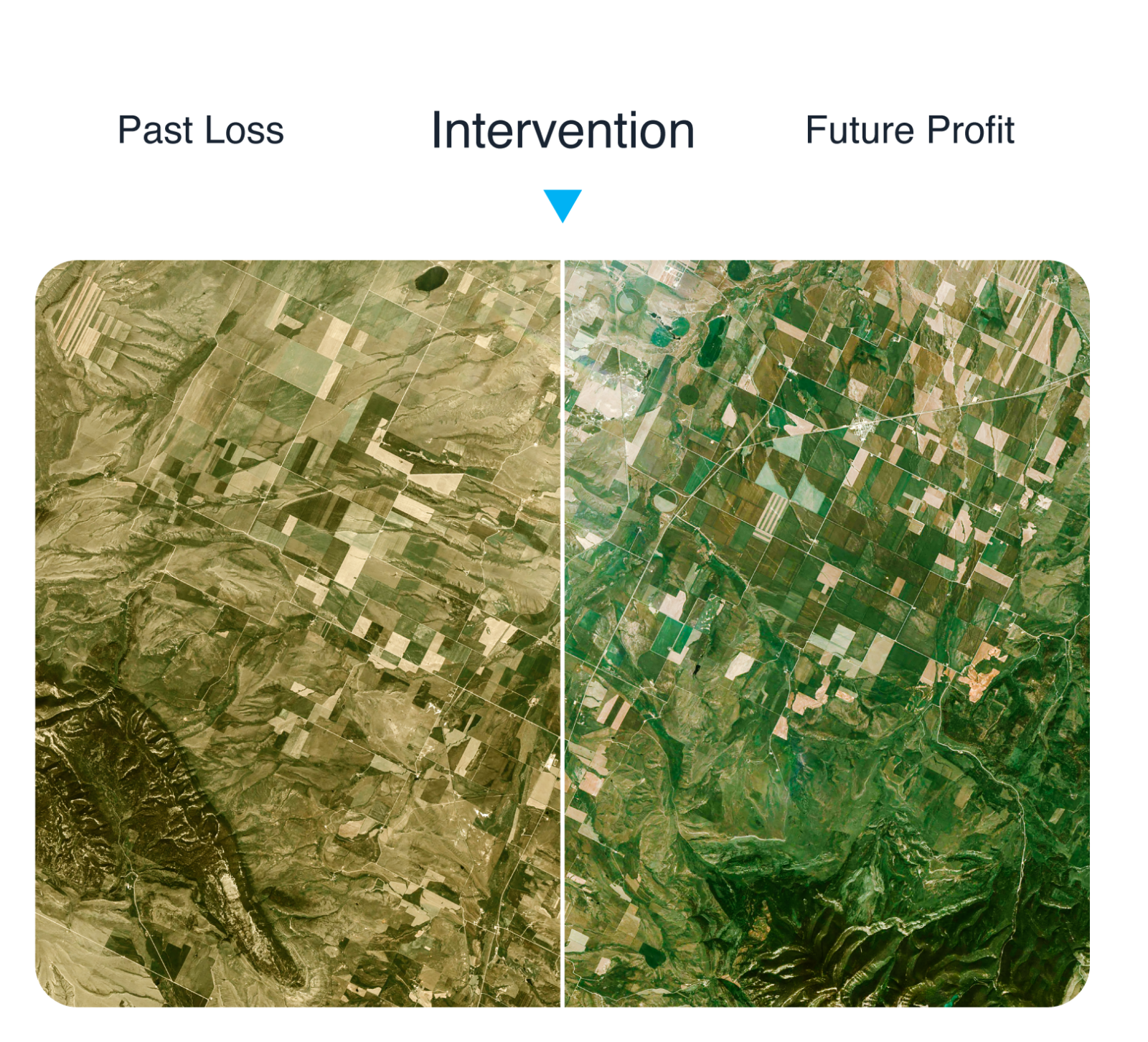 Earth Observation for sustainability